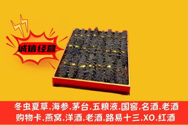 五通桥区回收海参